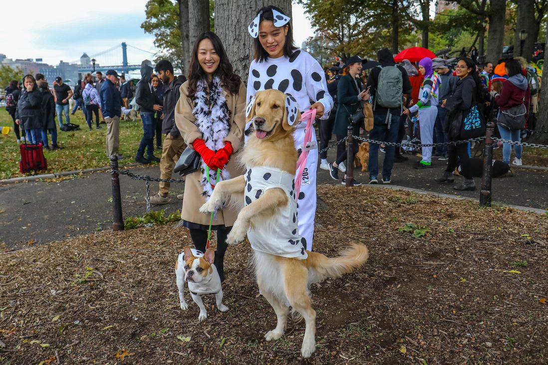 Dog and humans dressed as dalmations